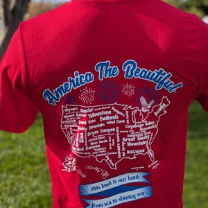 America the Beautiful Tee - USA Strong Unisex